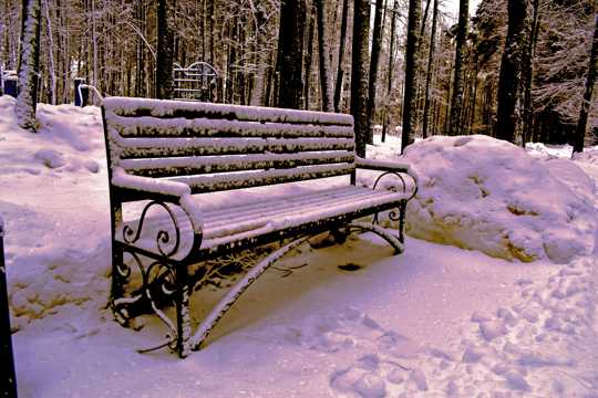 冬日的公园座椅图片