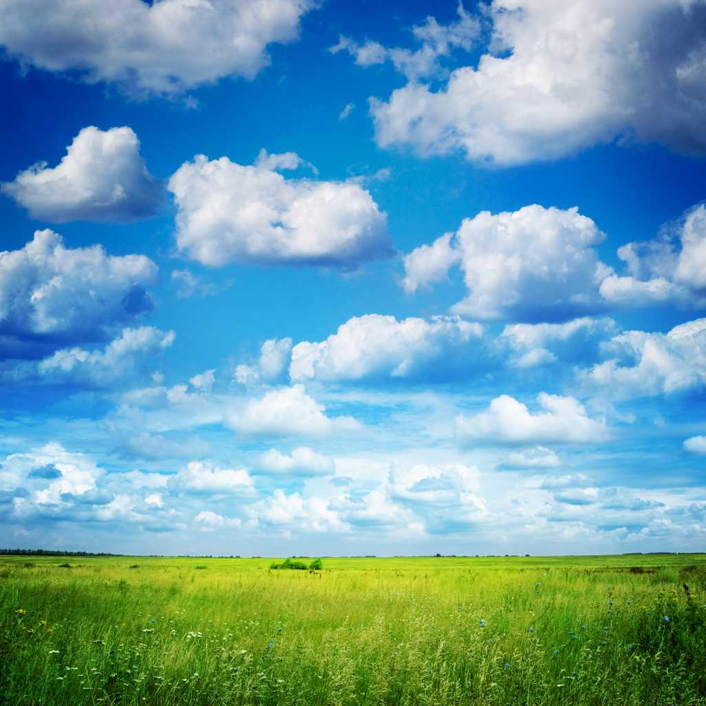 唯美蓝天云朵草场图片