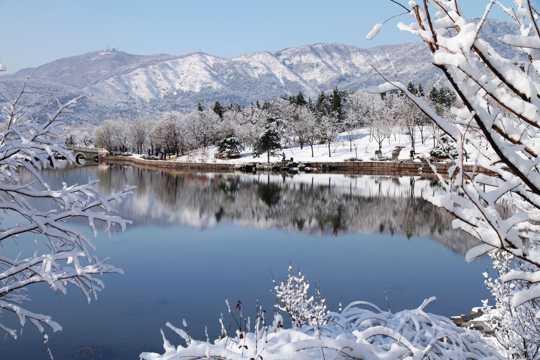 北京植物园雪景图片