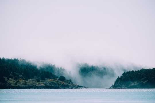 大雾树林湖水图片
