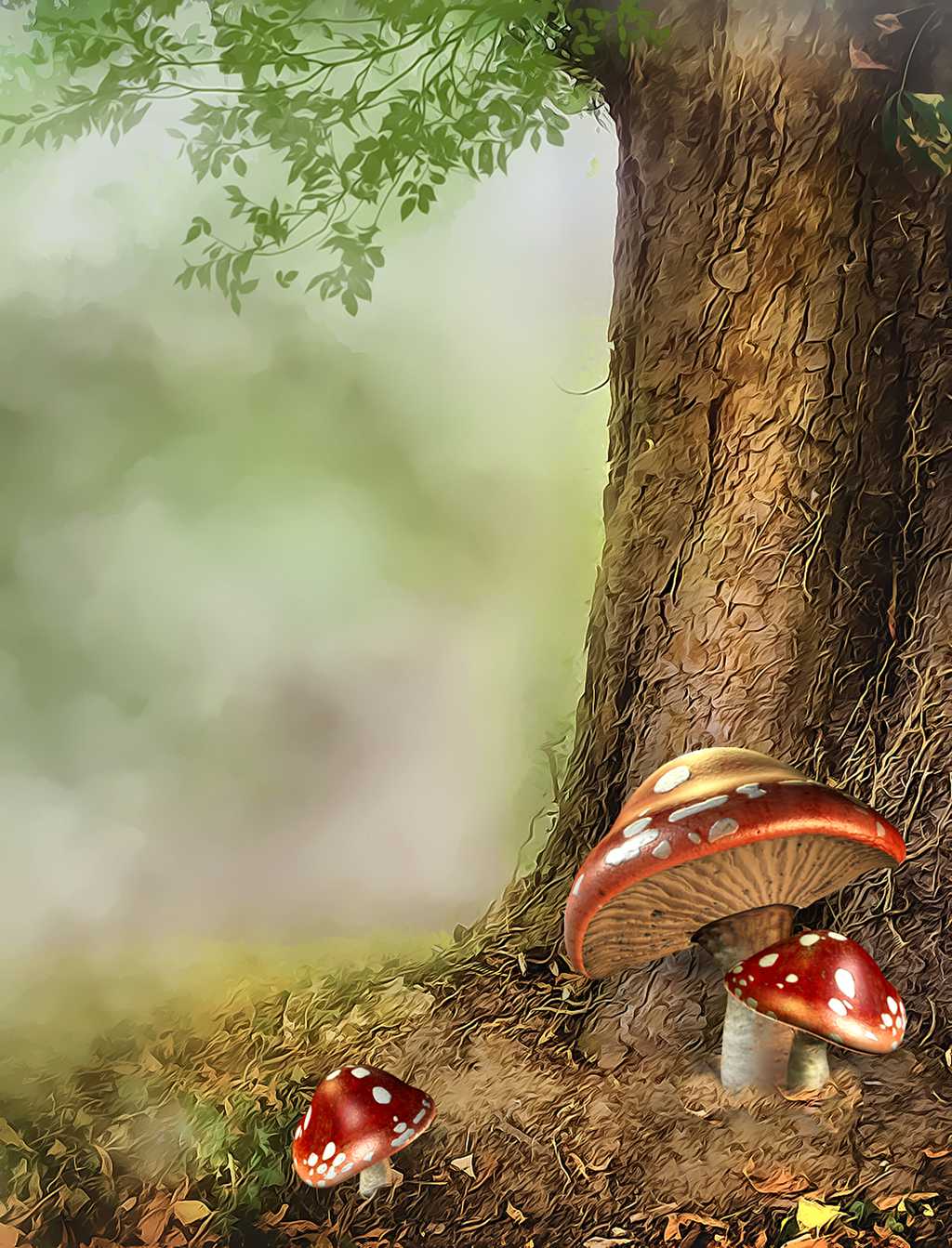 梦幻森林野生蘑菇