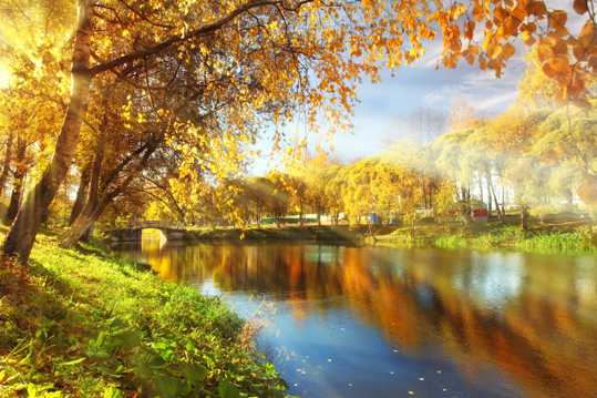秋日河岸自然风光