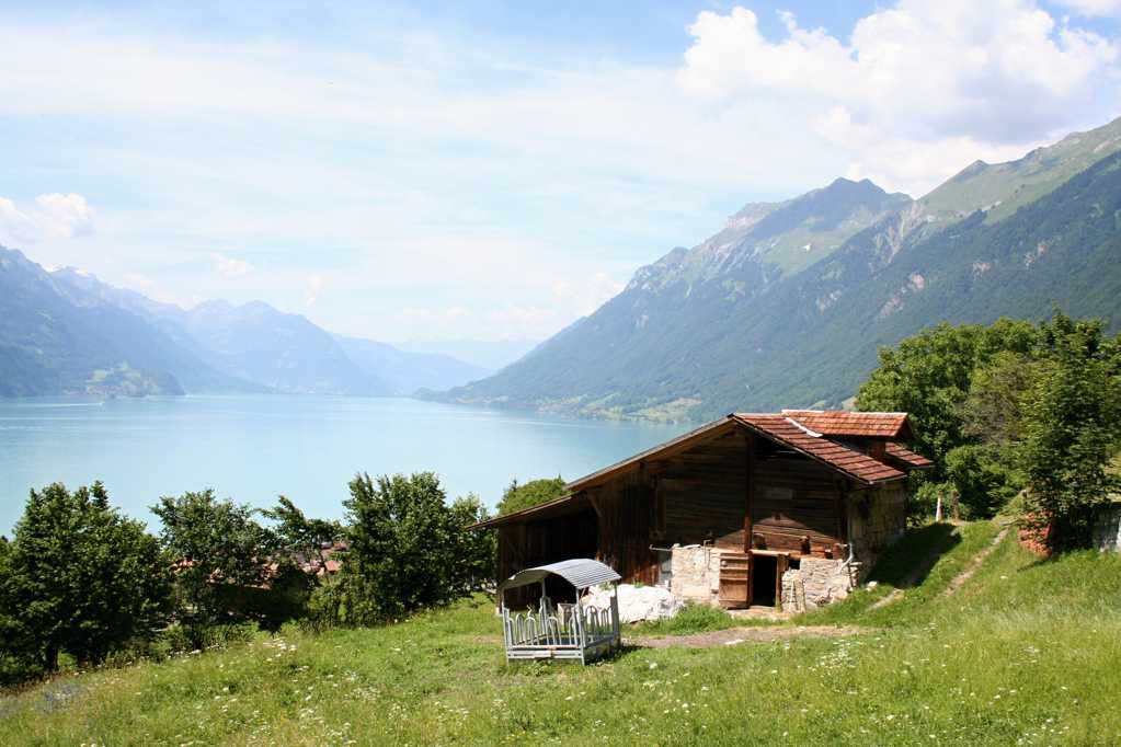 瑞士伯尔尼都会建筑景物图片