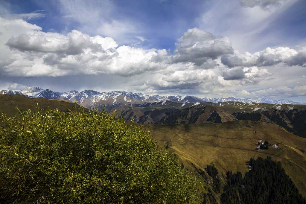 新疆天山乔尔玛景物图片