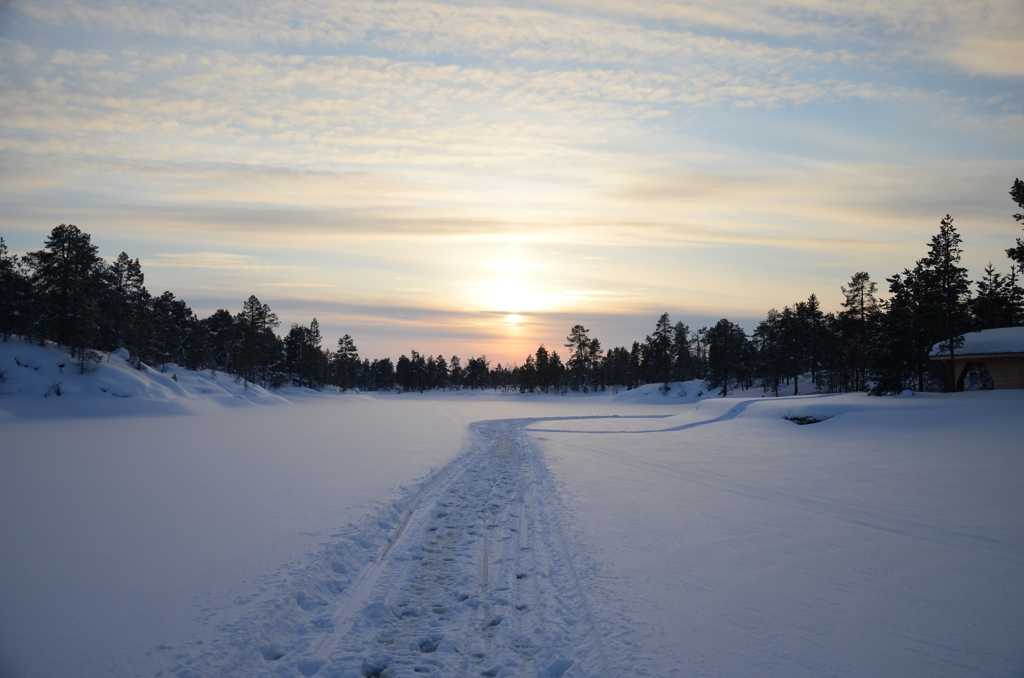 冬季朝阳雪景图片