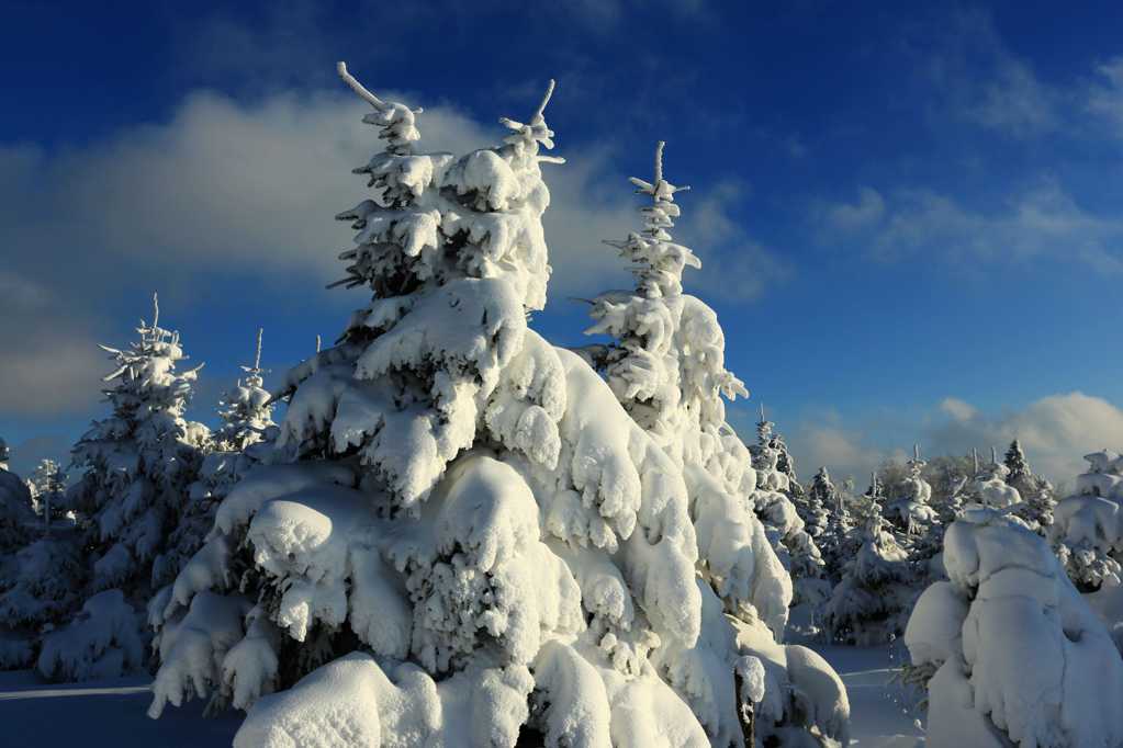 吉林延吉和龙老岭雪景图片