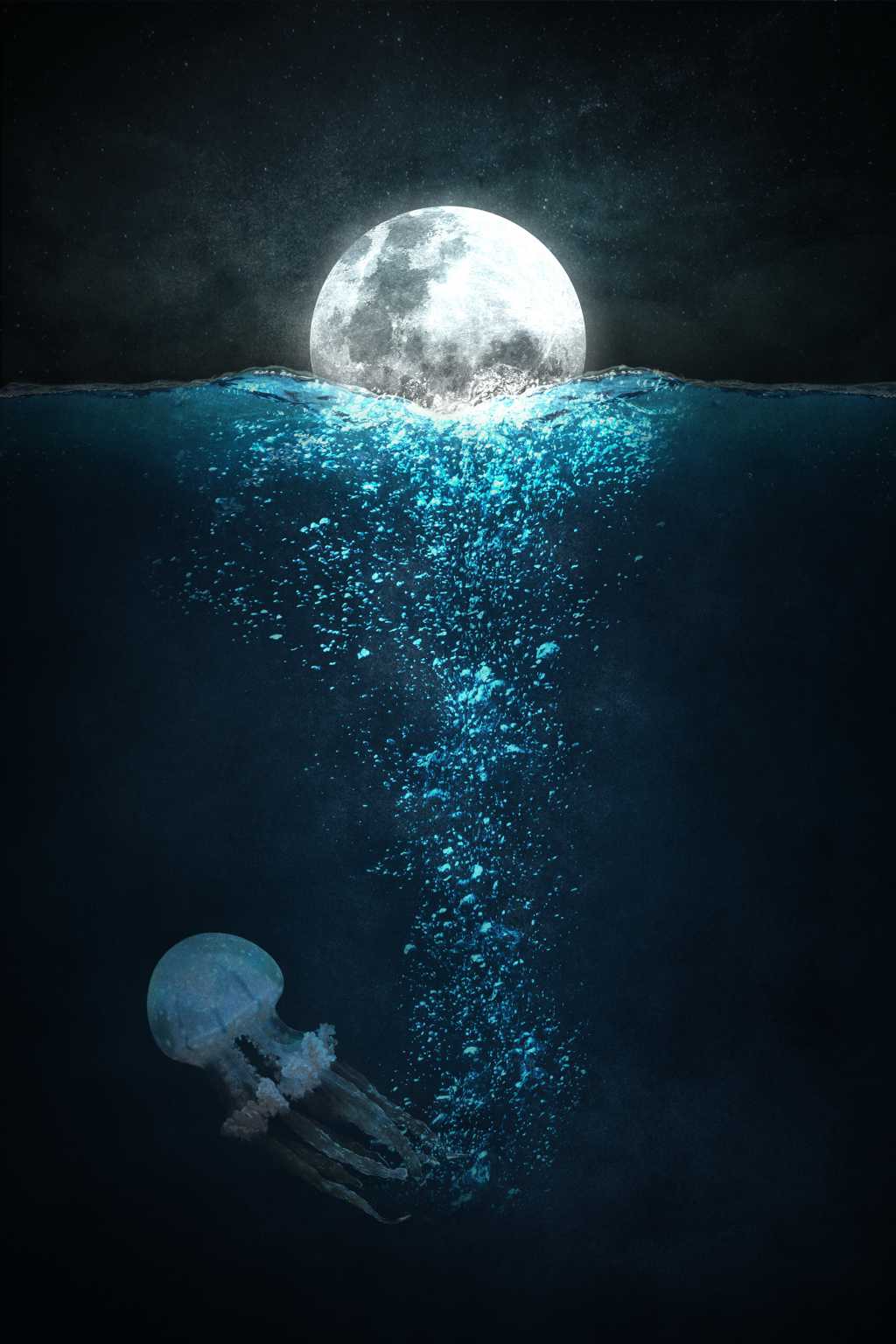 月球大海水母图片