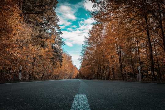 秋季道路景致图片