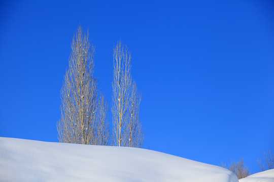新疆阿勒泰雪景图片