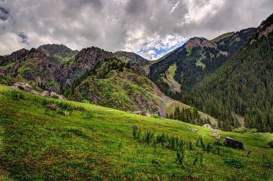 新疆米尔其克草场景观