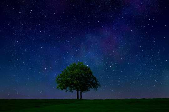 草场上繁星灿烂的夜空