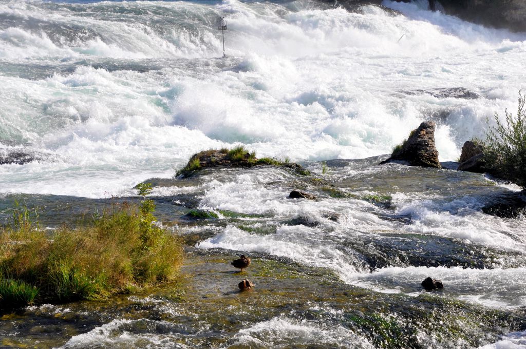 瑞士莱茵瀑布自然景致图片
