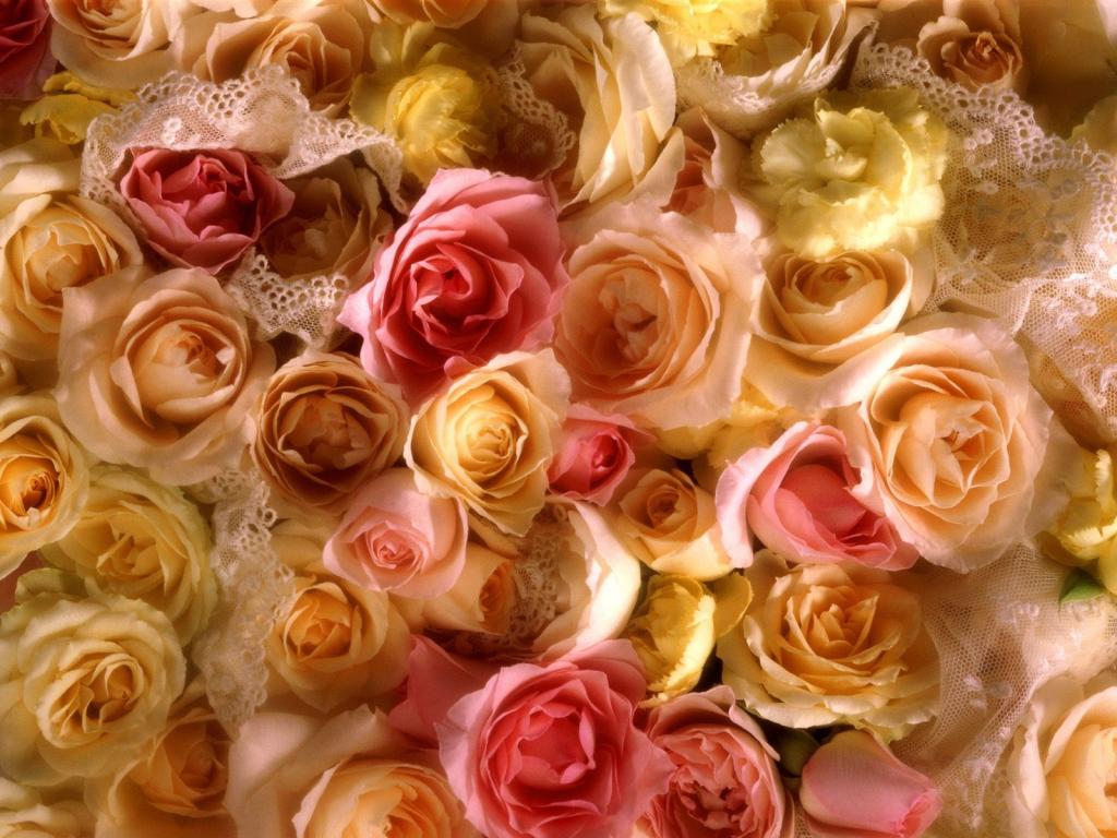 玫瑰新娘花束