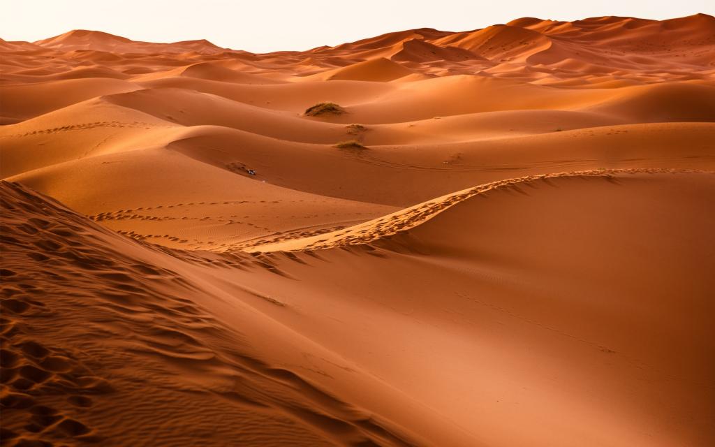 沙漠沙4K