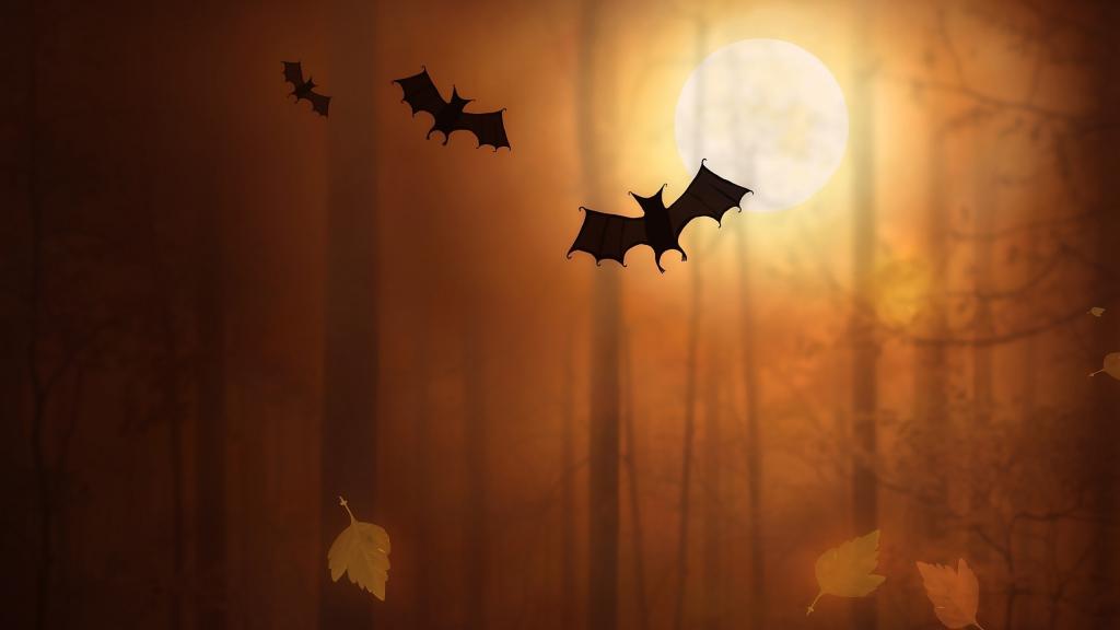 万圣节之夜,月亮,蝙蝠,高清