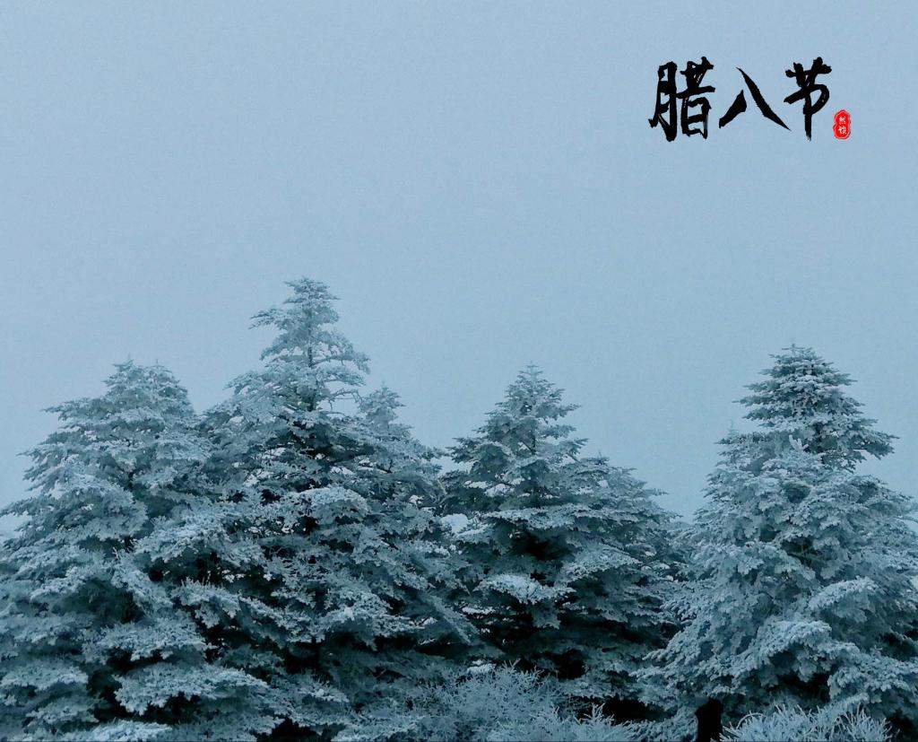 传统节日腊八节迷人雪景