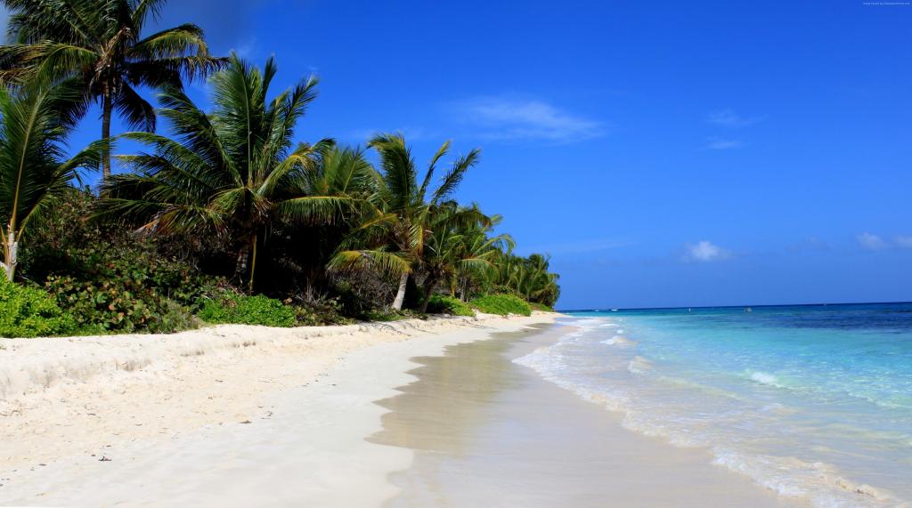 弗拉门戈海滩,库莱布拉岛,波多黎各,棕榈树,2016年最佳海滩,2016年旅行者选择奖（水平）