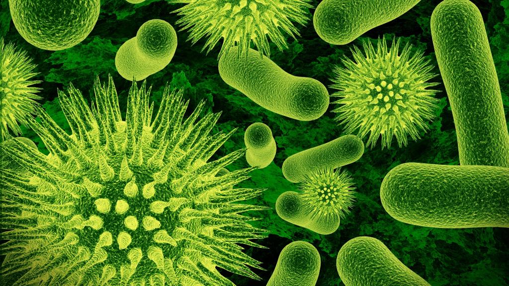 细菌,病毒,绿色,微生物,4K