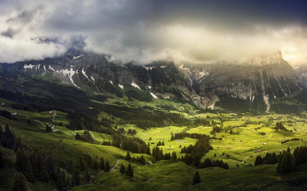山,景观,瑞士,高清