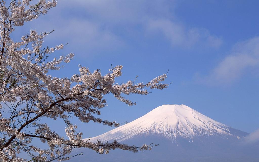 眺望远方富士山