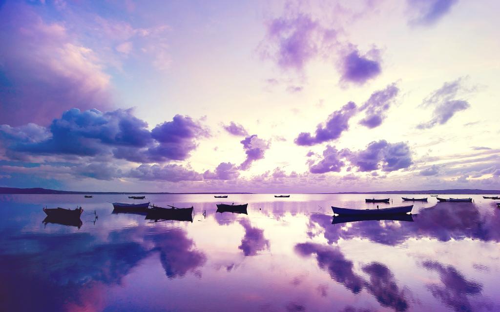 在海洋的紫色日落