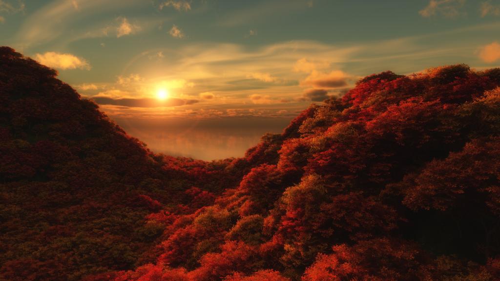 日出山林美景图片图片