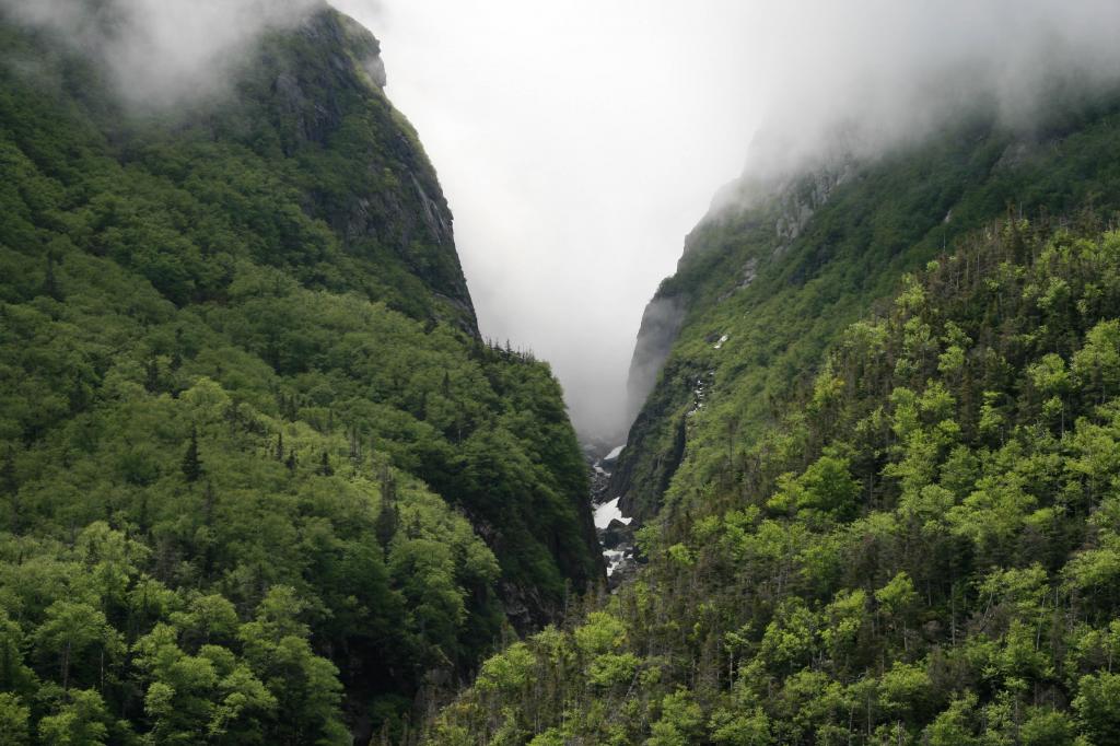 云雾缭绕的峡谷美景