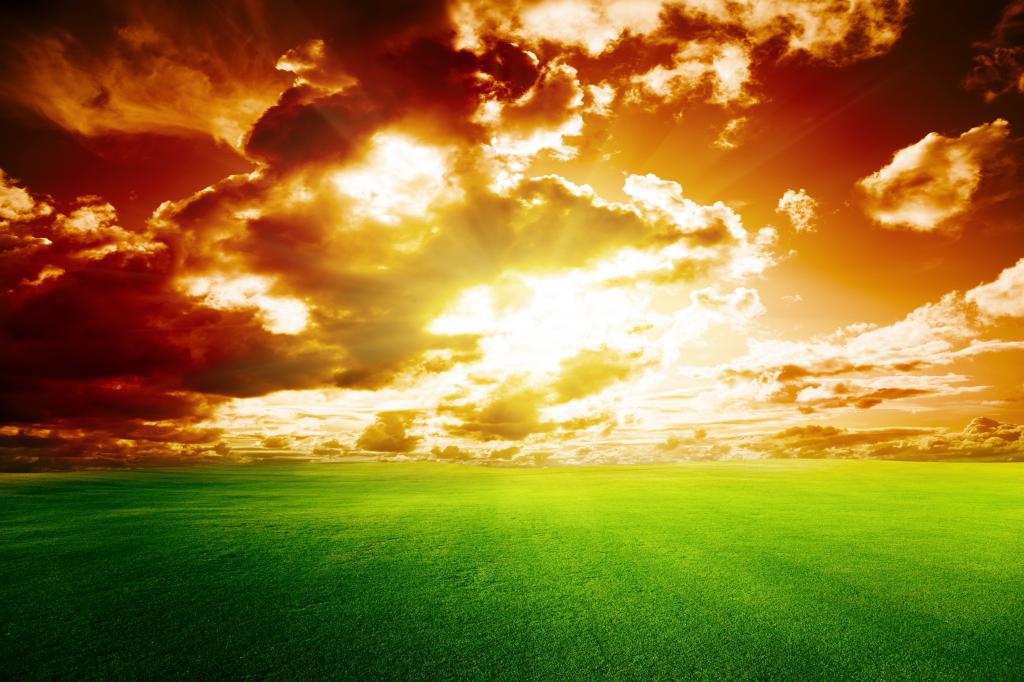 日落,红色的天空,绿草,完美的日落,4 k