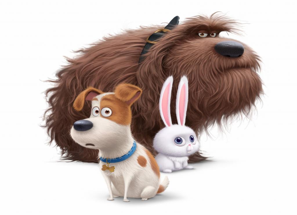 宠物的秘密生活,2016年最佳动画电影,卡通（水平）