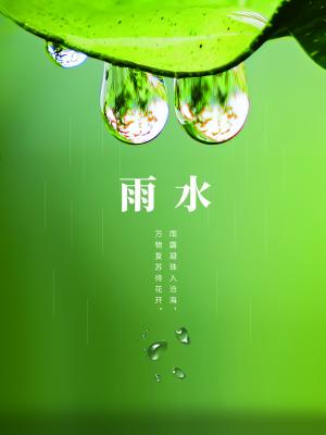 中国传统节气之雨水